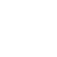 SAS 9.4 Developer icon